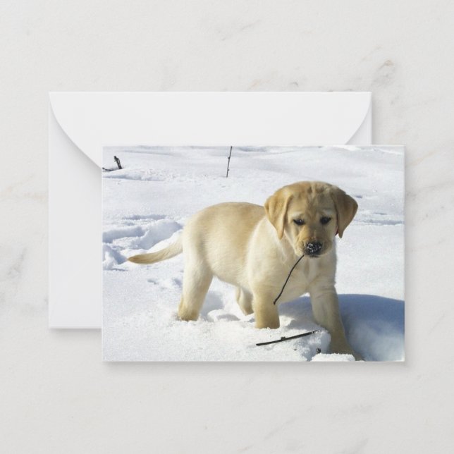 Carte De Correspondance chiot labrador jaune LR dans la neige (Devant)