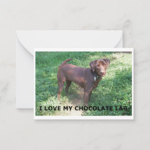 Carte De Correspondance Chocolat LR labrador amour avec image