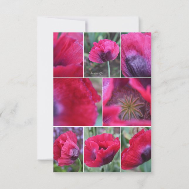 Carte De Correspondance Collage Coquelicot Rose  (Devant)