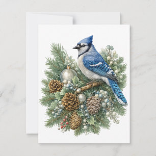 Carte De Correspondance Collection Chants d'oiseaux d'hiver de Geai bleu