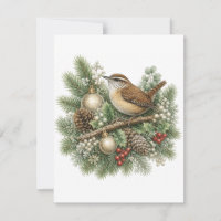 Collection Chants d'oiseaux d'hiver de Troglodyte 