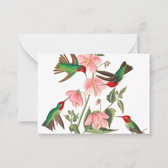 Carte De Correspondance Columbian Humming par John James Audubon (Devant)