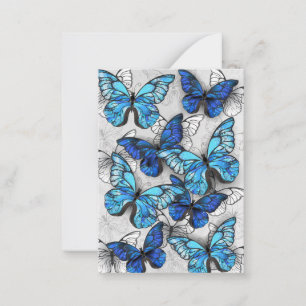 Carte De Correspondance Composition des White and Blue Butterflies