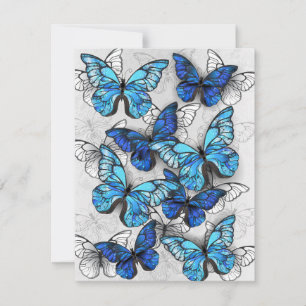 Carte De Correspondance Composition des White and Blue Butterflies