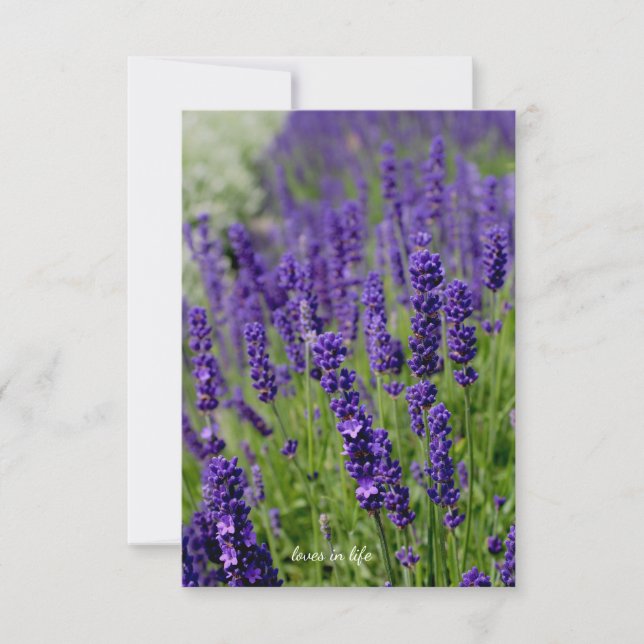 Carte De Correspondance Correctif Lavender (Devant)