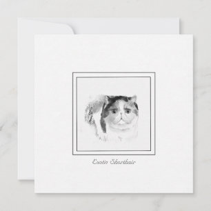 Carte De Correspondance Croquis de chat à courte distance exotique dans le
