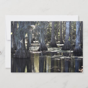 Carte De Correspondance Cypress Bald