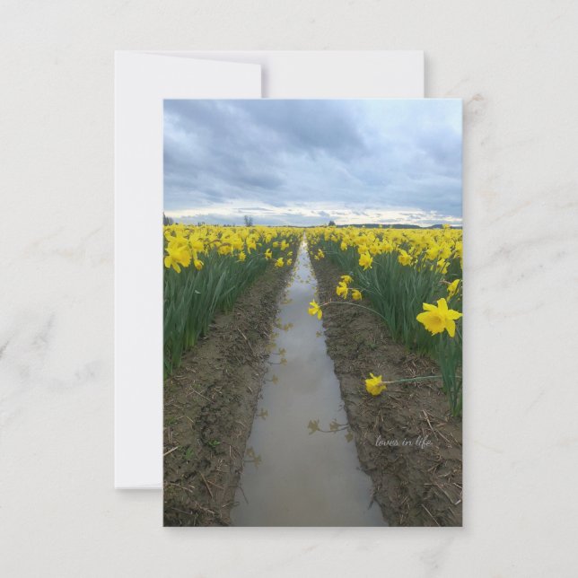 Carte De Correspondance Daffodiques du jour nuageux (Devant)