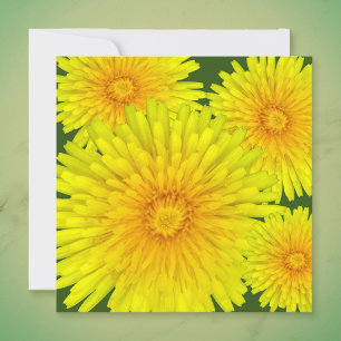 Carte De Correspondance Dandelion été