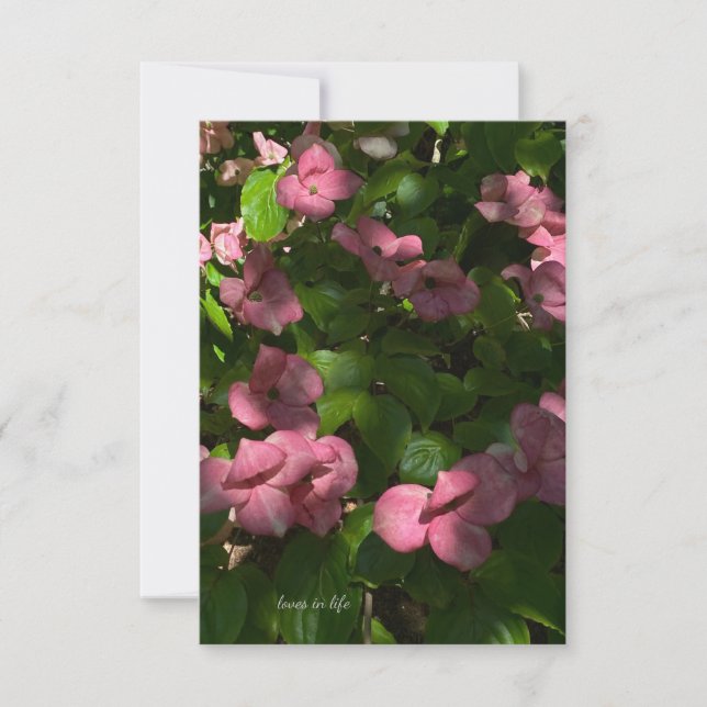 Carte De Correspondance Dogwood rose (Devant)