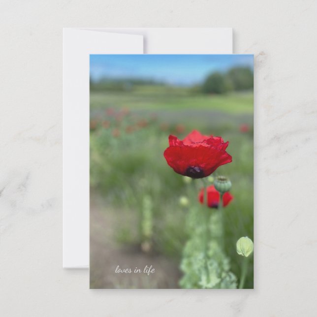 Carte De Correspondance Dreamy Red Poppy (Devant)