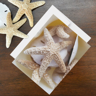 Carte De Correspondance Étoiles de mer et Sand Dollars Photographie de coq