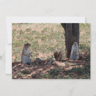 Carte De Correspondance Famille de chiens des Prairies
