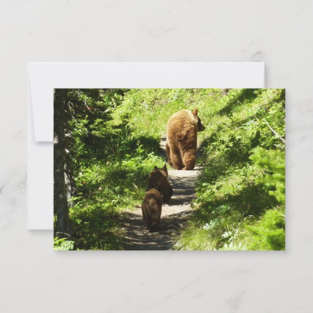 Carte De Correspondance Famille d'ours brun (Devant)