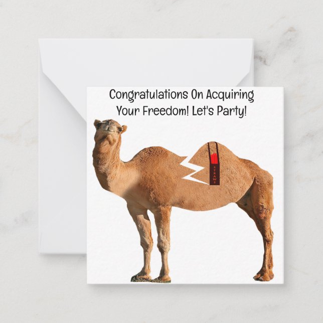 Carte De Correspondance Félicitations Divorce Party Card (Devant)