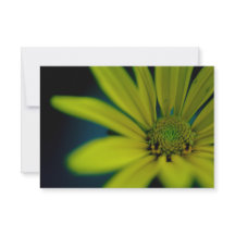 Fermer le Fleur sauvage jaune