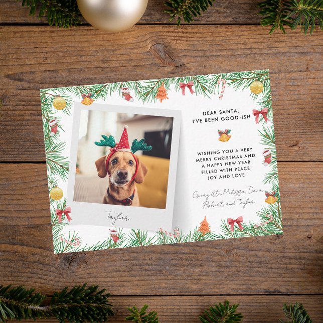 Carte De Correspondance Festif amusant animal de compagnie photo chien Noë (Funny Festive Pet Photo Dog Christmas Holiday Note Card)