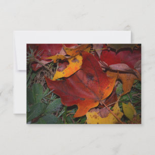 Carte De Correspondance Feuilles d'automne vibrantes