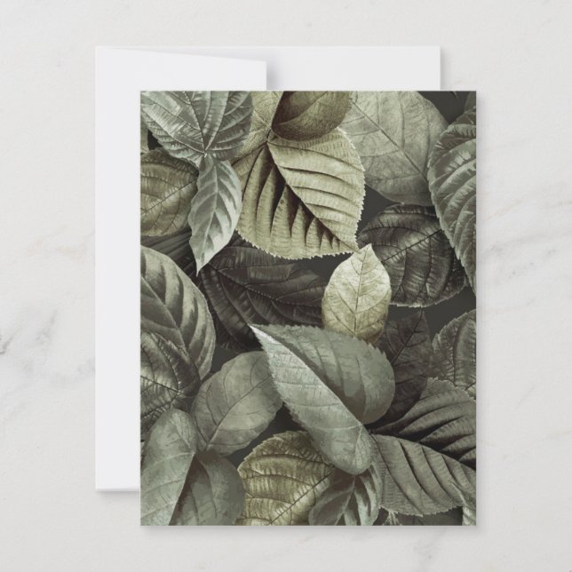 Carte De Correspondance Feuilles tropicaux 5 (Devant)