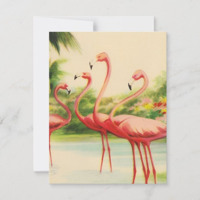 Carte De Correspondance Flamants Rétro (Devant)