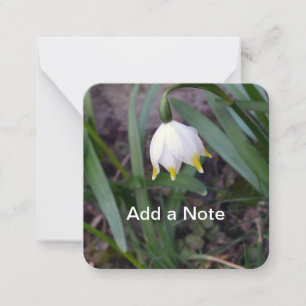 Carte De Correspondance Fléau de neige de printemps Leucojum vernum person