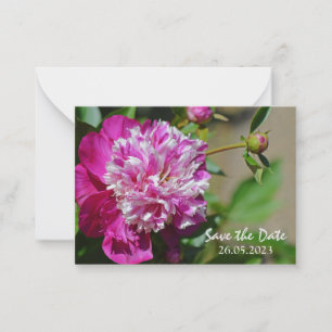 Carte De Correspondance Fleur de pivoine rose Cottage Enregistrer la date