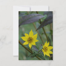 Fleur jaune d'automne