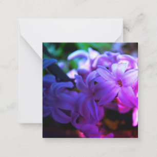 Carte De Correspondance Fleur Pastel Pink Hyacinth (Hyacinthus)
