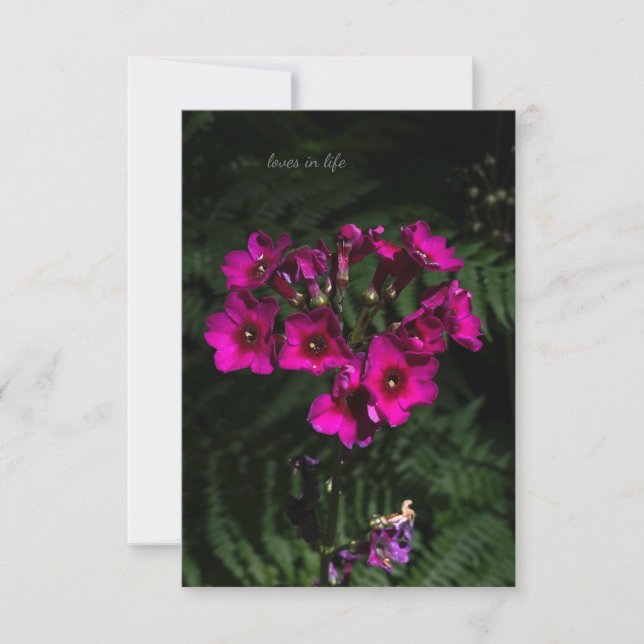 Carte De Correspondance Fleur rose foncé avec des fougères (Devant)