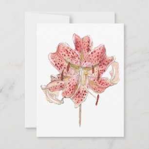 Carte De Correspondance Fleur rouge vintage dessin de Samuel Colman