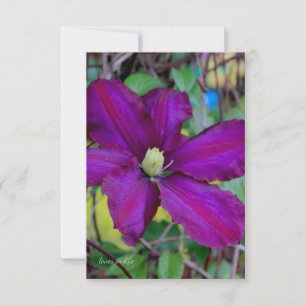 Carte De Correspondance Fleur violette Clematis