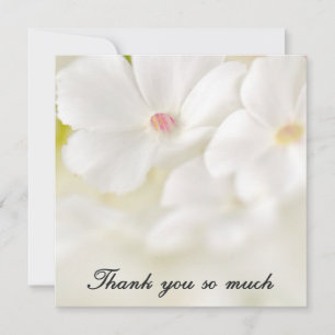 Carte De Correspondance Fleurs blanches Merci