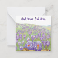 Fleurs de Crocus pourpres sur Spring Hill personna