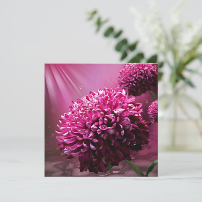 Carte De Correspondance Fleurs de dahlia (Debout devant)