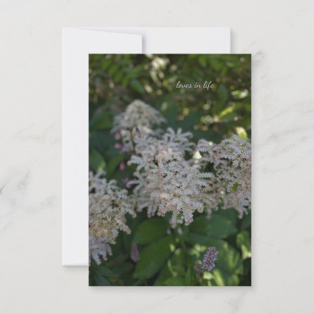 Carte De Correspondance Fleurs de jardin (Devant)