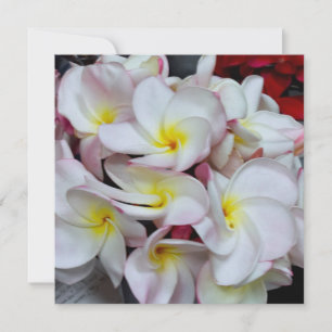 Carte De Correspondance Fleurs de Plumeria aux Bordures Roses – Note de Fl