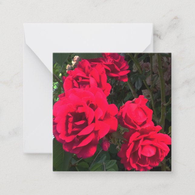 Carte De Correspondance Fleurs de roses rouges (Devant)