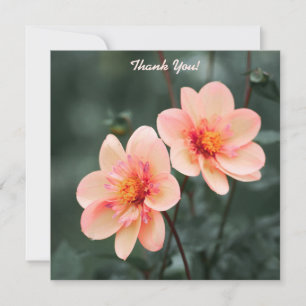 Carte De Correspondance Fleurs Douces Fond Vert Merci
