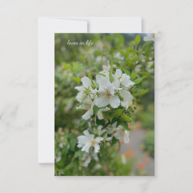 Carte De Correspondance Fleurs du jardin blanc (Devant)