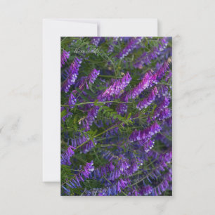 Carte De Correspondance Fleurs Vetch violettes