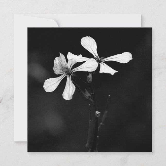 Carte De Correspondance floral noir et blanc minimal (Devant)