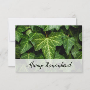 Carte De Correspondance Florist Edition 🌿 Ivy Photo 'Toujours Souvenu'
