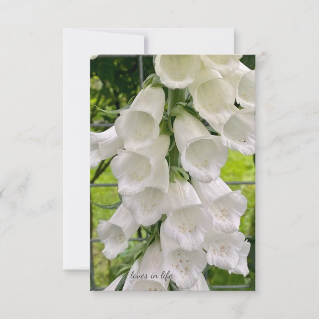 Carte De Correspondance Foxglove blanc (Devant)