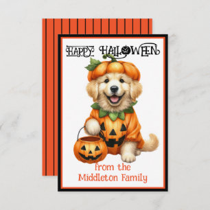 Carte De Correspondance Golden Retriever Chien Chien Chien Chien Chien Chi