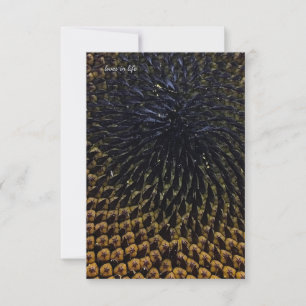 Carte De Correspondance Graines de tournesol noir