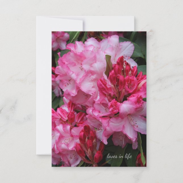 Carte De Correspondance Grand Rhododendron rose (Devant)