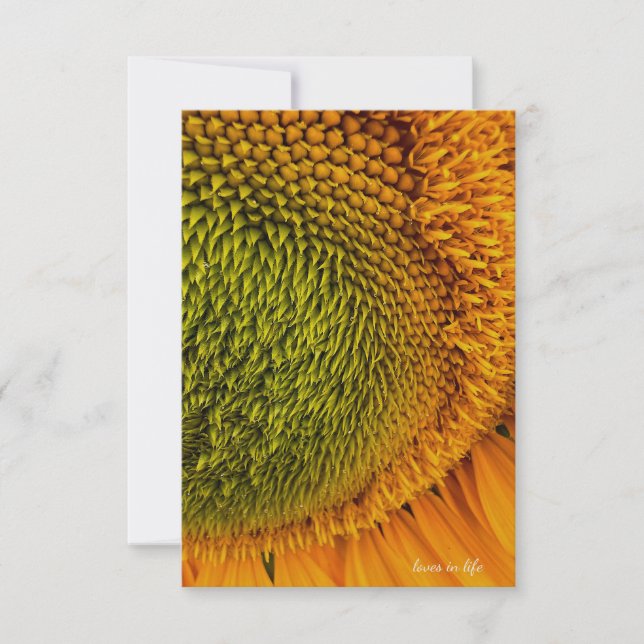 Carte De Correspondance Gros Sunflower Centre Vert (Devant)