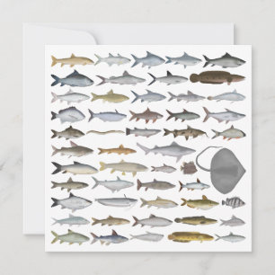 Carte De Correspondance Groupe de poissons d'eau douce d'Asie du Sud