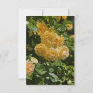 Carte De Correspondance Groupe de Roses de Jardin Jaune