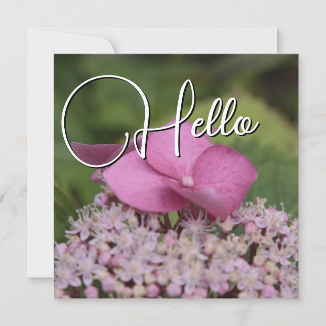 Carte De Correspondance Hello naissance souhaiter bienvenue saluer rose (Devant)